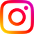 INS